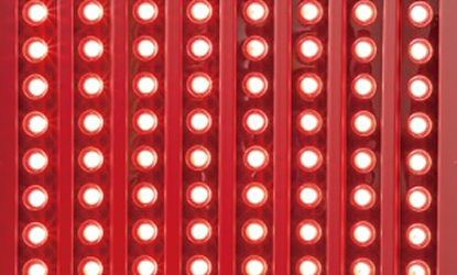 肌にハリと透明感を