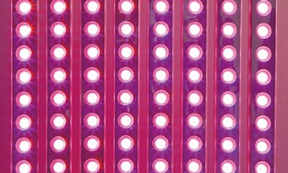 健康維持と予防に